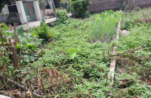 Bán đất Minh Trí Sóc Sơn, Hà Nội lô góc, KIN DOANH, DT75m2 MT5m, chỉ 1.5 tỷ.